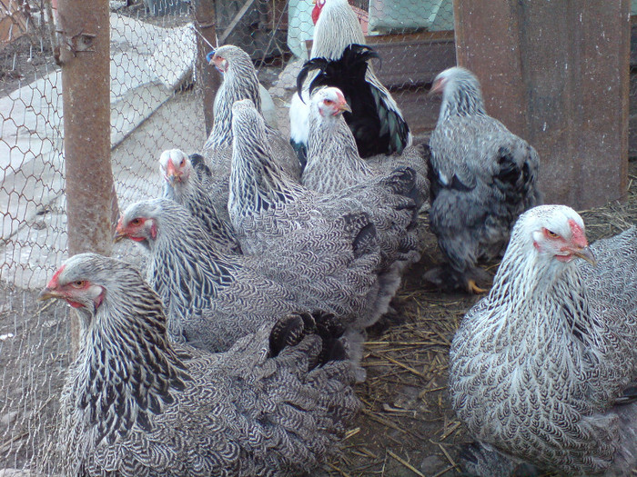 Picture 110; familie
