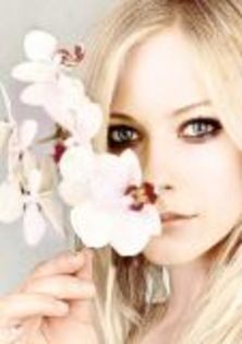 showimage - Poze cu Avril