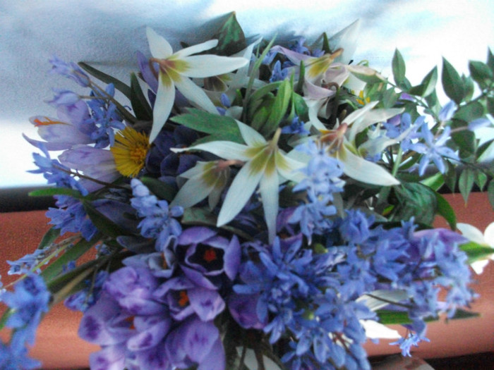 poze 2265 - a sosit primavara