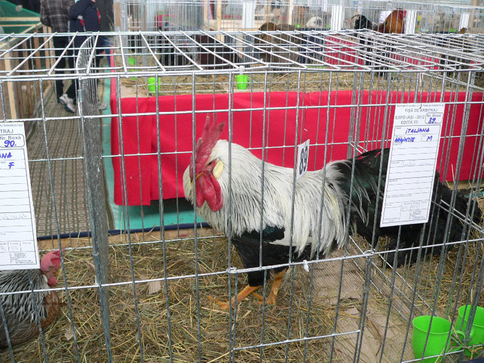 P1010090