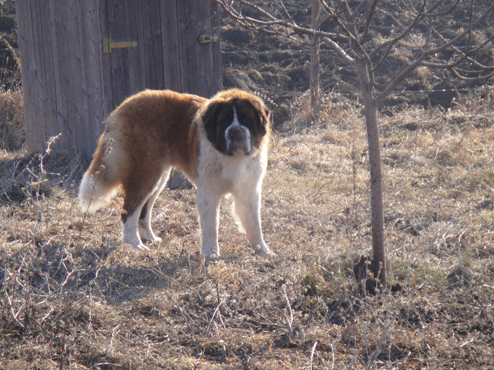 DSC03992 - benny 2012