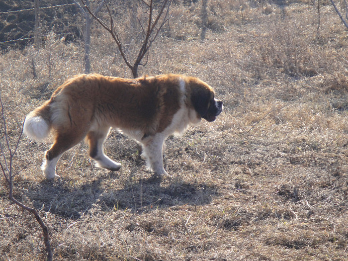 DSC03993 - benny 2012