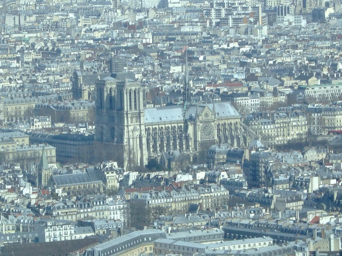 Notre Dame vazut de sus