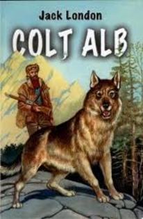 images (40) - Colt Alb