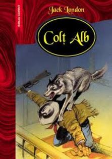 images (42) - Colt Alb