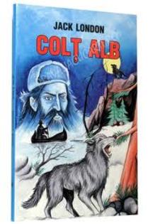 images (44) - Colt Alb