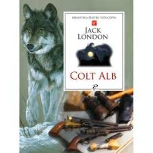 images (49) - Colt Alb