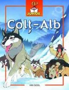 images (51) - Colt Alb