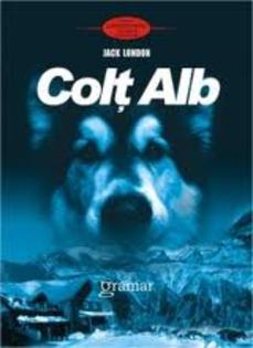 images (52) - Colt Alb
