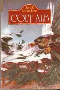 images (57) - Colt Alb