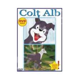 images (61) - Colt Alb