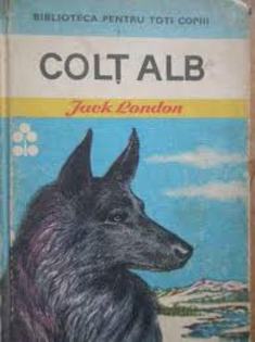 images (65) - Colt Alb