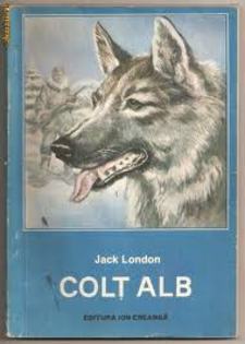 images (66) - Colt Alb