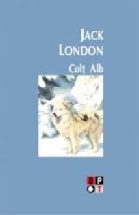 images (69) - Colt Alb