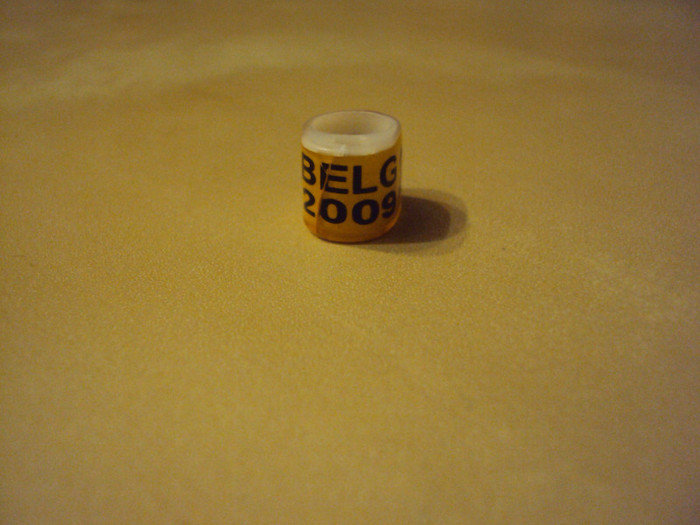 BELGIA 2009