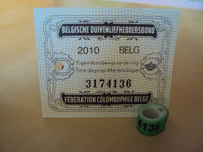 BELGIA 2010
