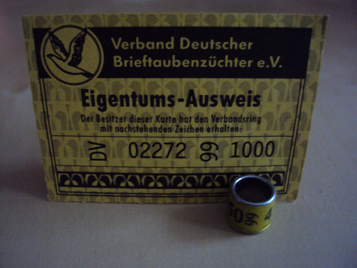 GERMANIA 1999 - C Colectie Inele