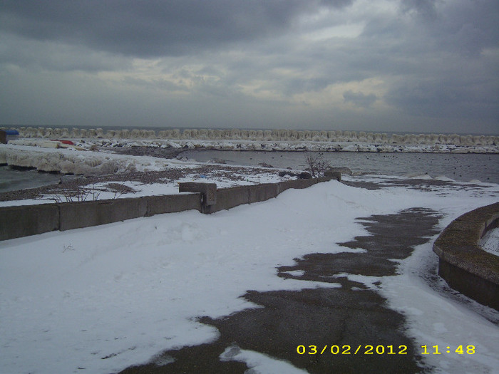 DSCI0051 - mangalia iarna 2012
