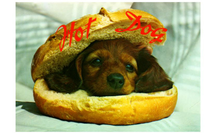 Hot_dog - Felicitari