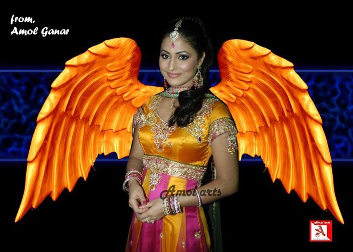 40875_123800274342056_100001362516840_126073_2445377_n[1] - Hina Khan-s