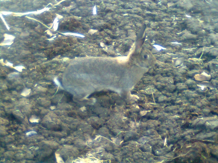 Imagine0095; la plimbare:)
