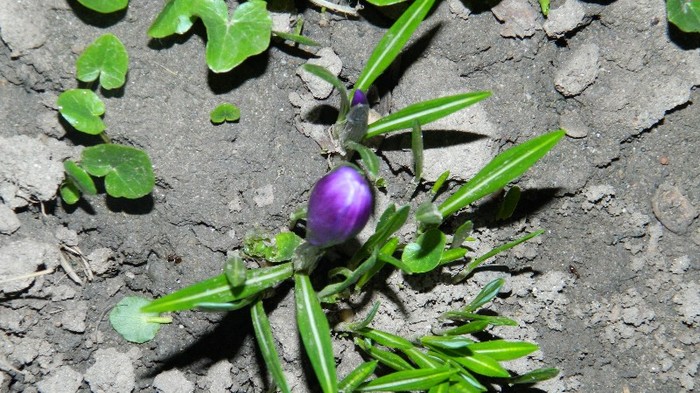 DSCN0173