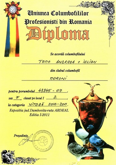 Toma-Iulian-foto-diploma-RO-43345-2007-F - Porumbei de la Toma Iulian -Andreea