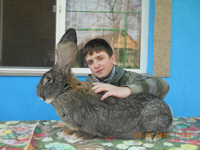 Picture 006 - Copii si iepuri