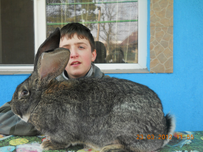 Picture 012 - Copii si iepuri