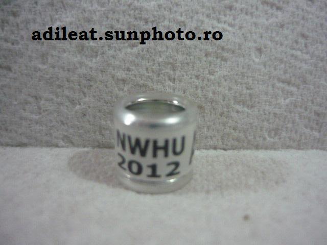 ANGLIA-2012-NWHU - ANGLIA-NEHU-ring collection