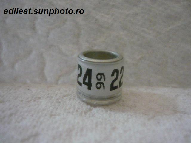 AUSTRIA-1999 - AUSTRIA-ring collection
