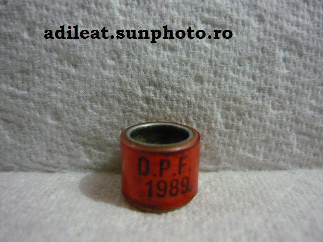 AUSTRALIA-1989-D.P.F - AUSTRALIA-ring collection