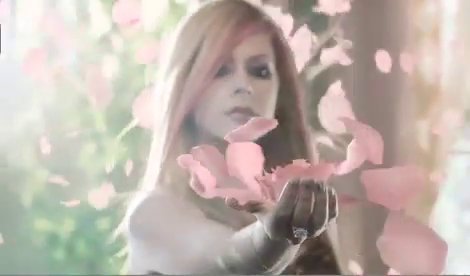 183997_232993256735814_185265934841880_600929_1915009_n - 0 avril lavigne wild rose 0