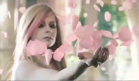 283262_232993226735817_185265934841880_600928_245717_n - 0 avril lavigne wild rose 0