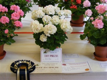 premiate