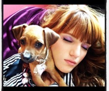 dedc812c408c11e1abb01231381b65e3_7_thumb - Bella Thorne