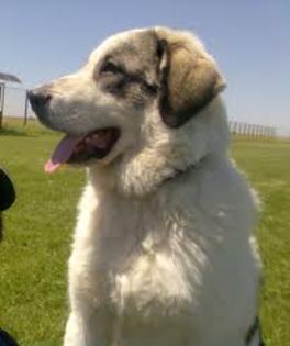 2XSCA3ID9GPCAIQD1NKCAYSKHMVCAA4FCEDCAFF0M5NCA744DT4CAPKYOCQCAOCDWH3CAHRWY01CAG8DHMGCA2GN0ZSCAYNVSH1C