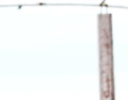 419216_318529908183338_275884929114503_844043_1427429869_n_001 - Actrite indiene puzzle