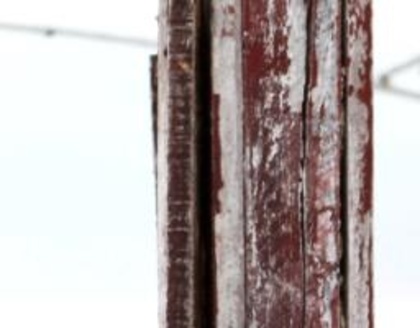 419216_318529908183338_275884929114503_844043_1427429869_n_002 - Actrite indiene puzzle