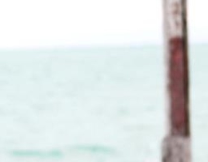 419216_318529908183338_275884929114503_844043_1427429869_n_004 - Actrite indiene puzzle