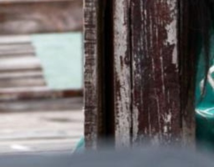 419216_318529908183338_275884929114503_844043_1427429869_n_011 - Actrite indiene puzzle