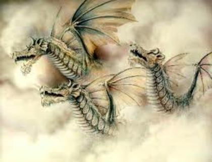 dragoni - Creaturi MiSticE