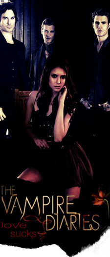 407250_300942903276277_126896860680883_747578_1821183523_n - The Vampire Diaries