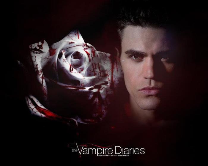 294342_232872856766004_149321181787839_576460_306493442_n - Paul Wesley