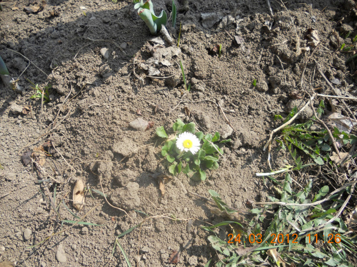 DSCN0228