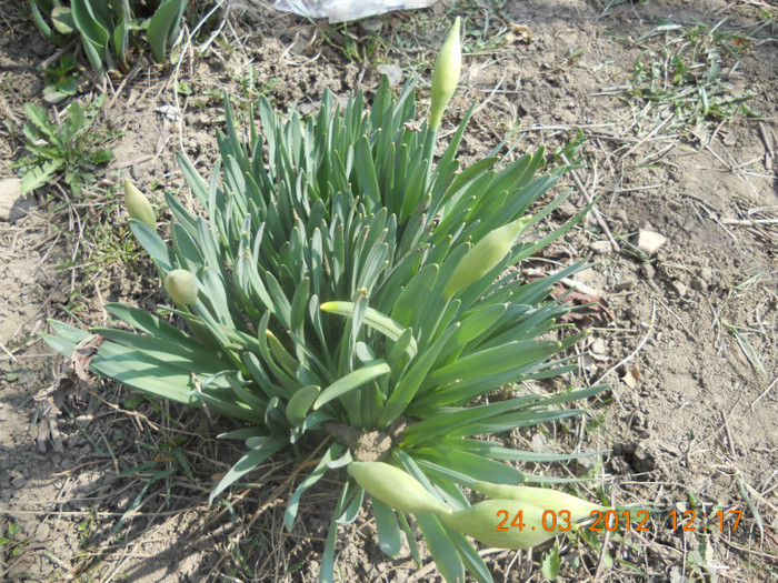 DSCN0232