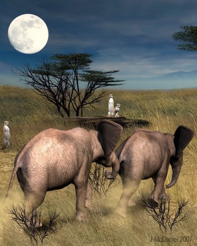 Baby_Elephant_Walk_by_jjean21 - 3D