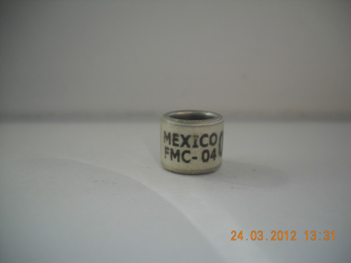 2004 - MEXIC