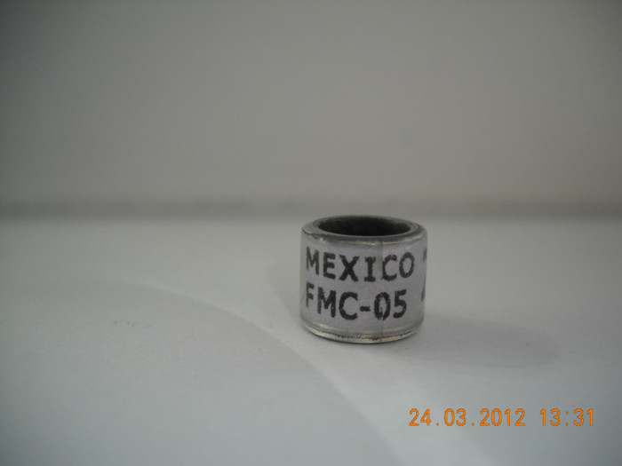 2005 - MEXIC