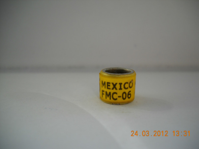 2006 - MEXIC
